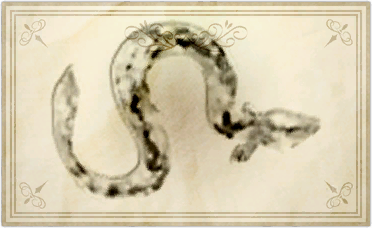 File:Browned banana eel.png