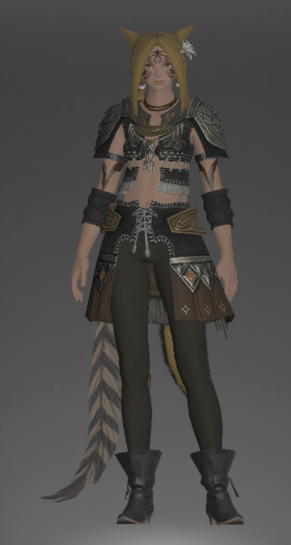 File:Ravel Keeper's Vest of Maiming front.png