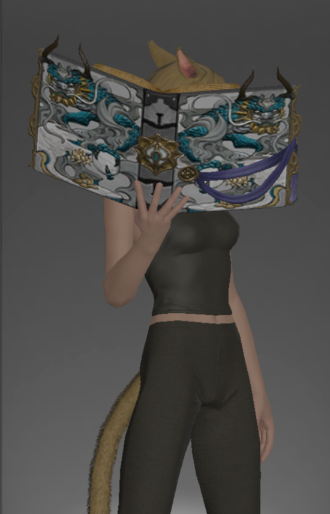 File:Seiryu's Codex outside.png