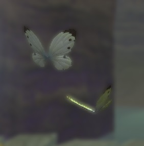 Butterfly effect1.jpg