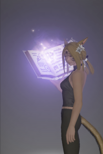 File:Replica of the Omnilex Zenith inside.png