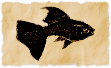 File:Platinum guppy.png