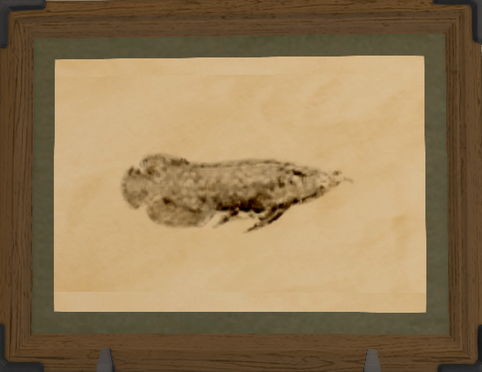 File:Stonytongue print.png