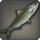 Saber sardine icon1.png