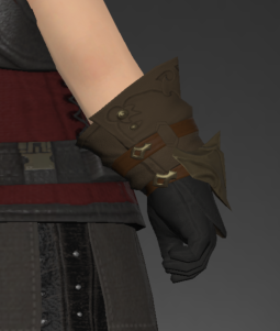 File:Filibuster's Gloves of Healing 2.png