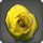 Dried yellow oldrose icon1.png