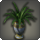 Potted spider plant icon1.png