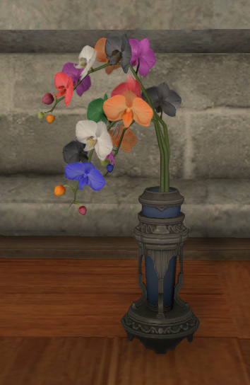 File:Rainbow Moth Orchids.png