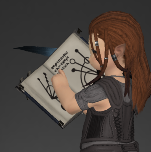 File:Tigerskin Grimoire 2.png