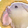 Porxie card icon1.png