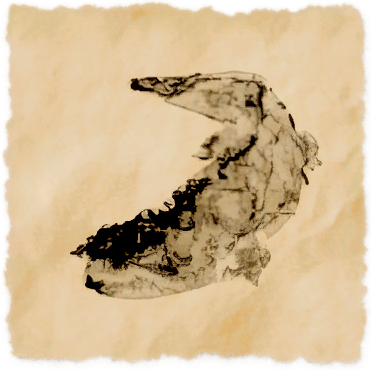 File:Abalathian salamander.png