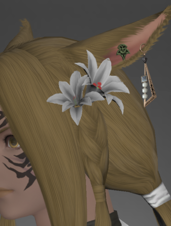File:Diamond Earring of Aiming.png