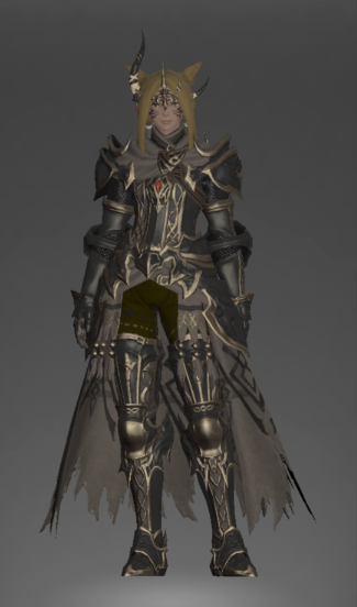 File:The Forgiven's fending attire.png