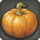 Giant pumpkin icon1.png