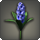 Blue hyacinths icon1.png