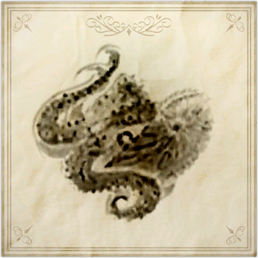 File:Argonauta argo.png