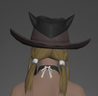 File:Weathered Gunslinger's Hat rear.png