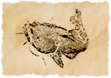 File:Chakrafish.png
