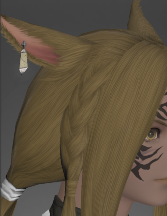 File:Nabaath Earrings of Healing right side.png