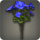 Blue byregotia icon1.png