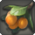 Ripe steppe fruit icon1.png