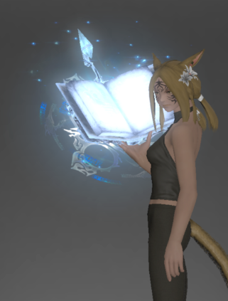 File:The Veil of Wiyu Ultima inside.png