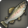 Rainbow trout icon1.png