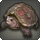 Box turtle icon1.png