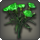 Green carnations icon1.png