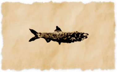 File:Fullmoon sardine.png