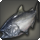 Othardian salmon icon1.png