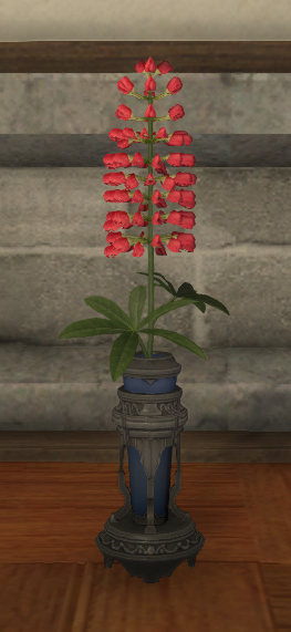 File:Red Lupins.png