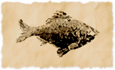 File:Black velodyna carp.png