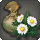 Daisy seeds icon1.png
