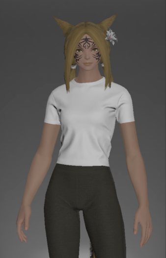 File:Form-fitting Plain Neotunic front.png