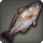 Red drum icon1.png