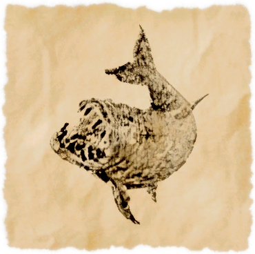 File:Coeurlfish.png
