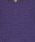 File:Violet Purple.png