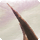 ARR sightseeing log 31 icon.png