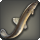Brass loach icon1.png