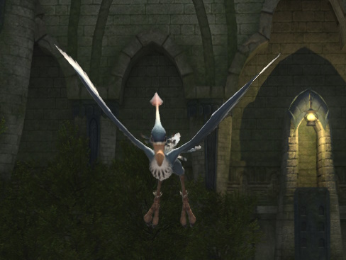 File:Bronze Buzzard.jpg