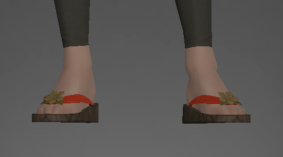 Lady's Clogs front.png
