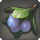Pixie plums icon1.png