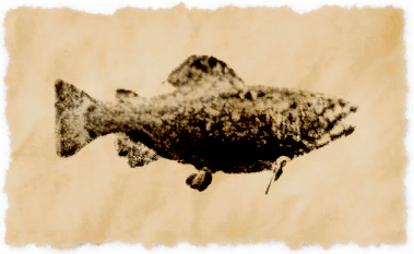 File:Watts trout.png