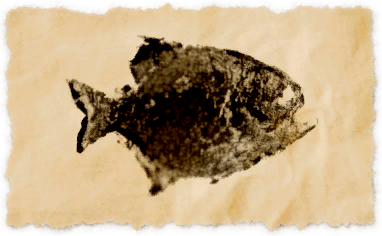 File:Yellow pipira.png