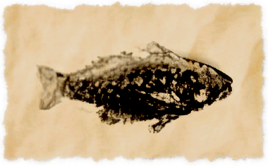 File:Bighead carp.png