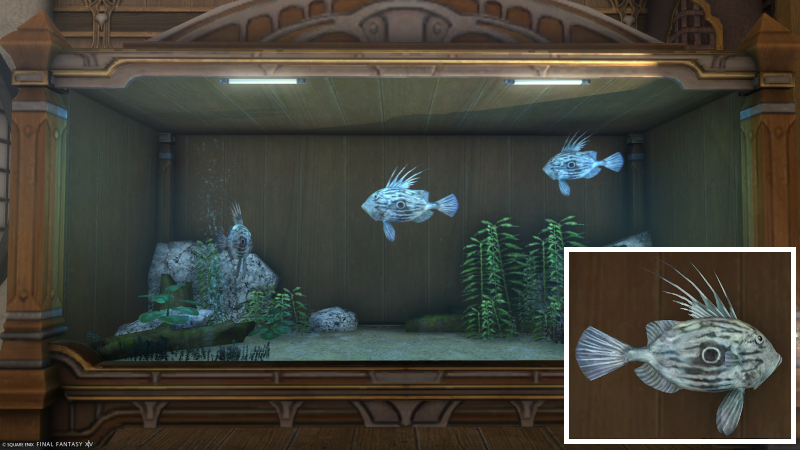 File:Forgotten One.jpg