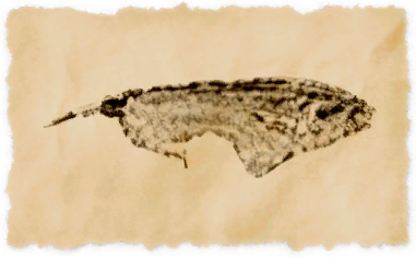 File:Purusa fish.png