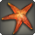 Ruby sea star icon1.png