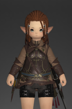 File:Alliance Jacket of Aiming.png